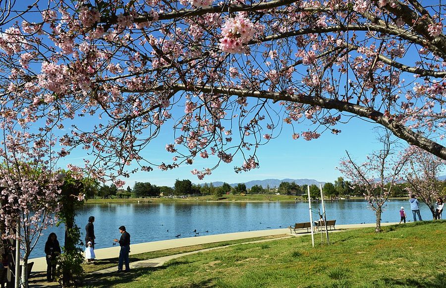 Lake Balboa Park — Van Nuys